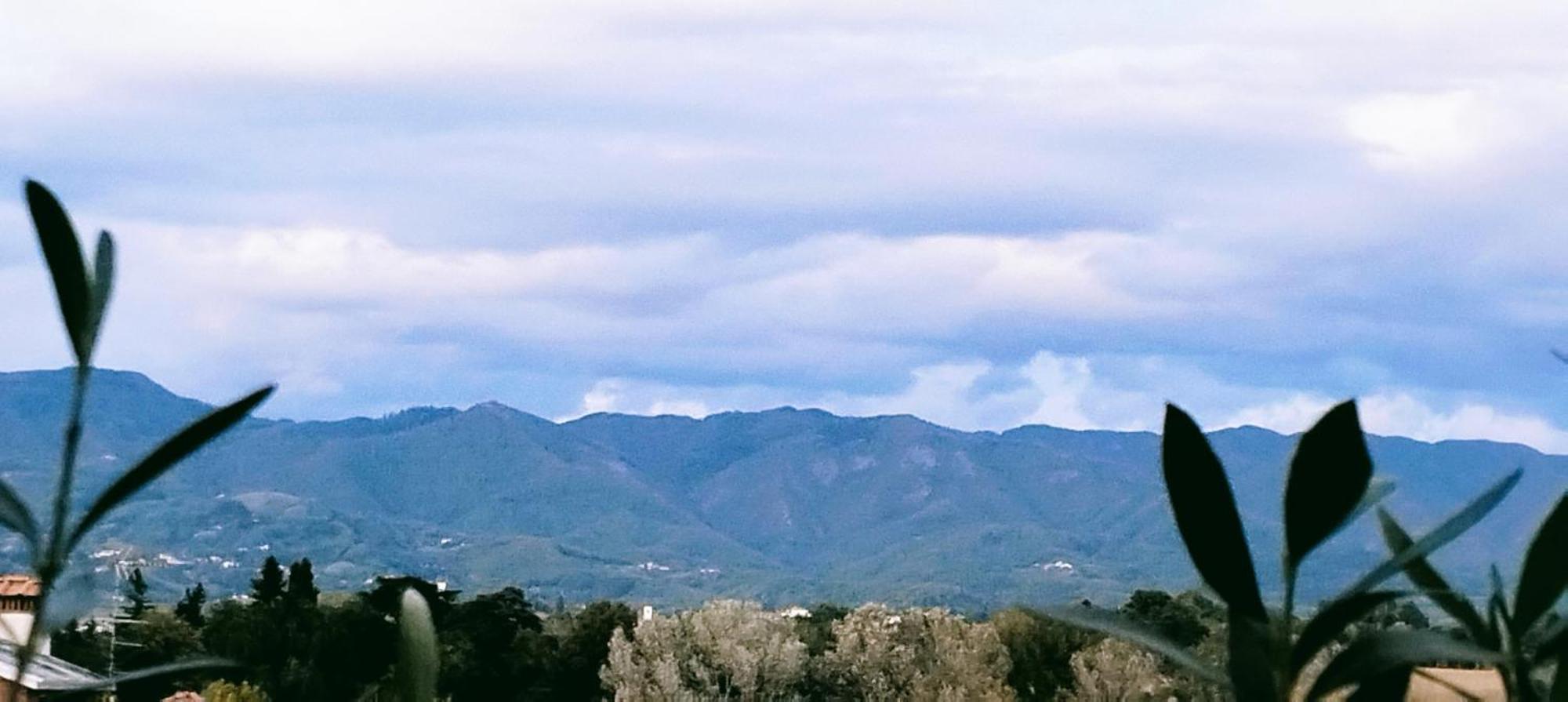 Athena Soggiorno San Piero a Sieve Bagian luar foto